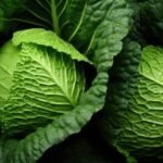Dark Green Leafy Vegetables Are Super Healthy